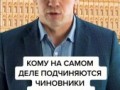 Кому подчиняются чиновники?