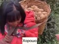 Видео про китайскую девочку