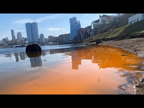 Море окрасилось в оранжевый цвет во Владивостоке