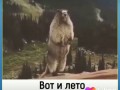 Лето прошло