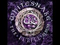 Whitesnake — You Fool No One _ The Purple Album