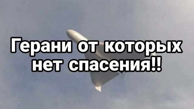 Герани ОТ КОТОРЫХ НЕТ СПАСЕНИЯ ДАЖЕ В ЗАКРЫТОМ ПОМЕЩЕНИИ