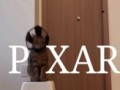 Легендарная заставка Pixar обновилась — она стала еще милее