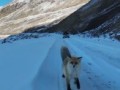 Видео с путешествия действительно удалось