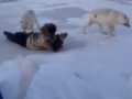 мем ожил