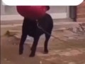 До краёв пожалуйста