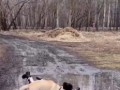 Безопасный путь построен