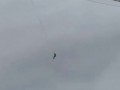 Устроил себе аттракцион