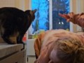По-собачьи