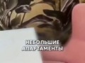 Конура