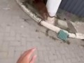Лучшая защита — нападение