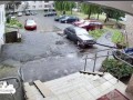 В Гродно собака выпала с 8 этажа и … выжила: спас стоящий у подъезда прицеп