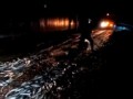 нерест сельди на Сахалине