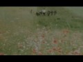Район Белостока, июнь 1941 года