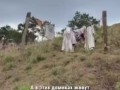 Деревня хоббитов находится во Вьетнаме, а не в Средиземье