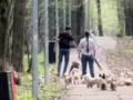 Чистая самооборона