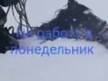 В поле с конём