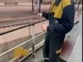 Зумер устроился на работу.