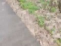 «Ты меня ударил, ыыы, хнык-хнык»