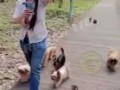 Собачница из Казани.