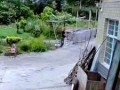 Знакомо до ужаса