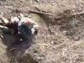 самоденацификация