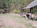 Не хотят гулять