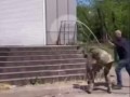 отлов
