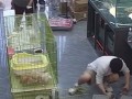 А они как ломанутся