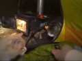 Девушка решила провести ночь в палатке на природе, но к ней в гости пришли два уличных кота — кайфов
