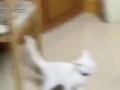 Ннна!