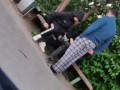 В полиции сообщили, что подросток также ударил взрослого мужчину | Источник: читатели V1.RU В полици