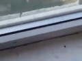 дагестан нож рукопашка махачкала
