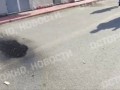 Беспилотник сбит над Ногинском в Московской области