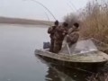 Сомики