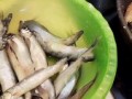 Отпускайте мужей на рыбалку