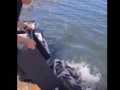 Сознательный рыбак