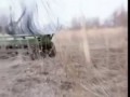ВСУ анонсировали использование ослов на фронте