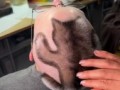 Идеальная стрижка для заядлого кошатника