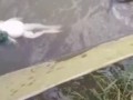 Жаб