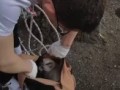 В Башкирии скалолаз снял с дерева кошку, просидевшую там 3 дня