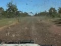 Дождь из кузнечиков. Австралия