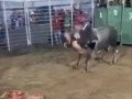 Гимнасты
