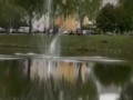 Такого шоу вы точно не ожидали увидеть
