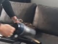Cat and Vacuum Cleaner
