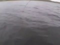 Щука за 15 кг