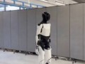 humanoidrobot optimus