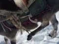 Ручник