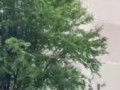 кубаноид 80lvl