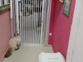На свободу